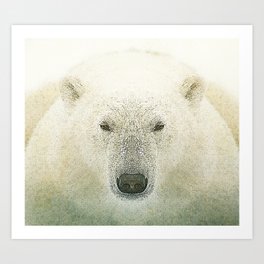King of the north Art Print