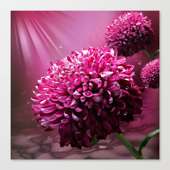 majestic flowers Canvas Print