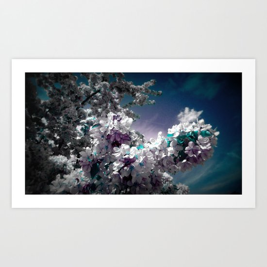 Flowers Purple & Teal Art Print