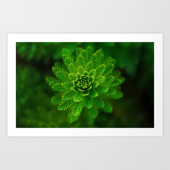 layers Art Print