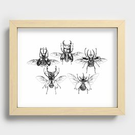 Scarabs Recessed Framed Print