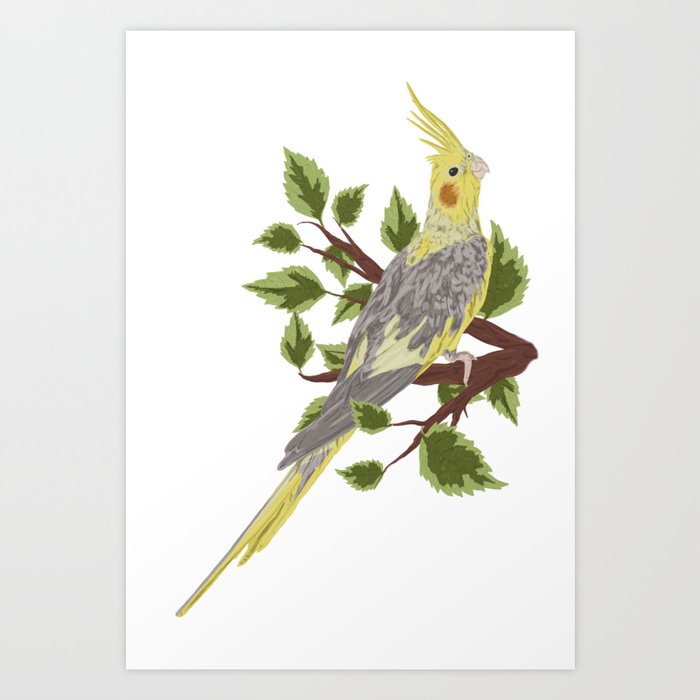  cockatoo nymph bird on branch with green leaves Art Print