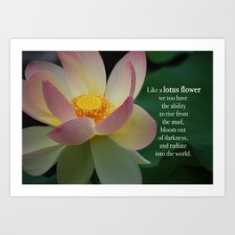 Lotus Flower Blossom Quote 1 Art Print