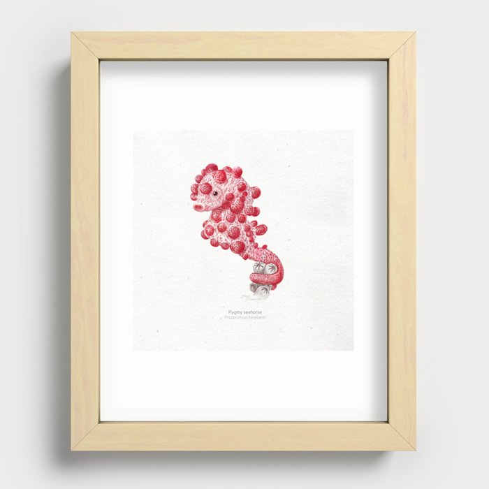 Dwarf seahorse  scientific illustration art print Recessed Framed Print