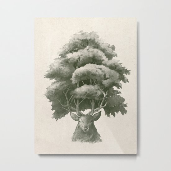 Old Growth Metal Print