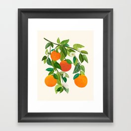 Oranges and Blossoms Tropical Fruit Painting Framed Art Print