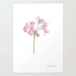 Pink Flower Art Print