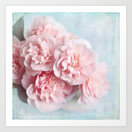 pink camellia Art Print