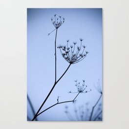 Silhouette on blue Canvas Print