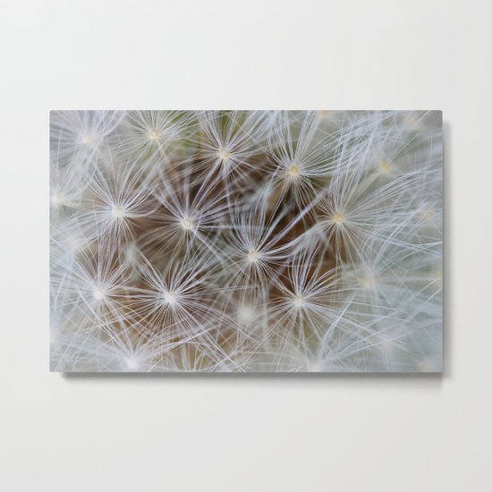 Nature showing off Metal Print