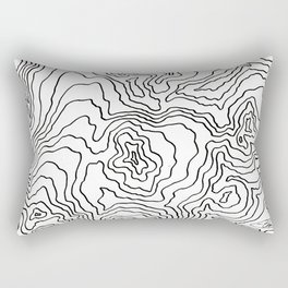 Topography  Rectangular Pillow