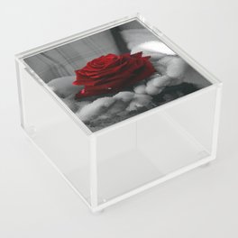 Full Rose in Hands Acrylic Box