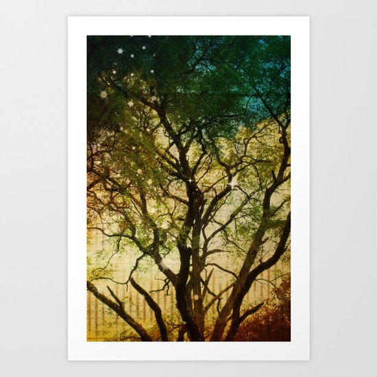Big Tree in the Sunlight Art Print