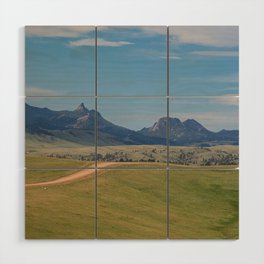 Road Through The Mountains Wood Wall Art