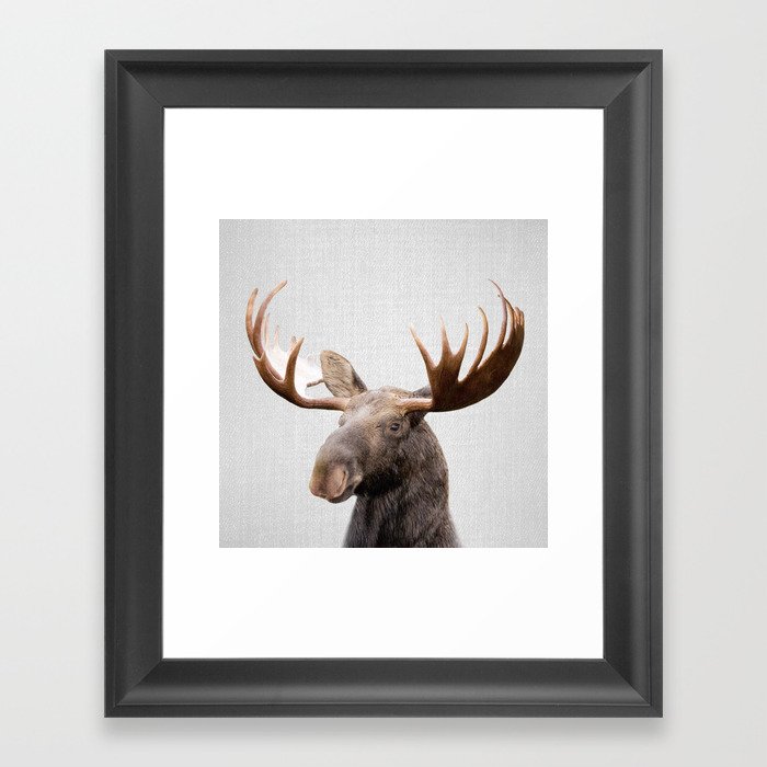 Moose - Colorful Framed Art Print