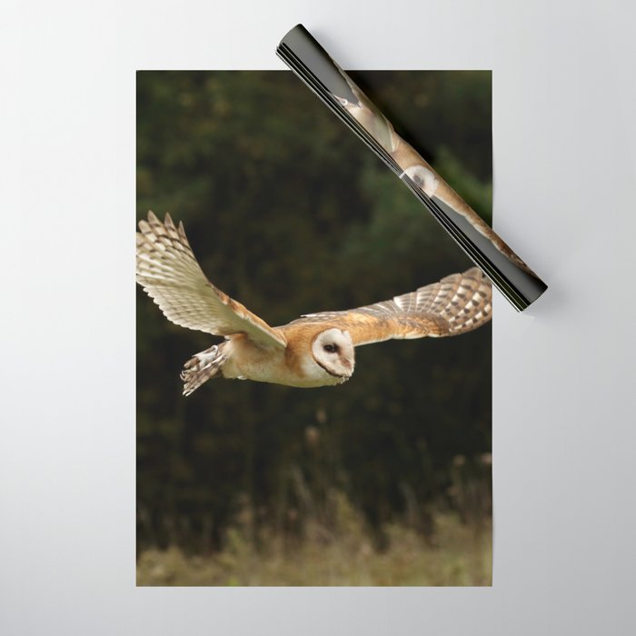 Owl on sale wrapping paper