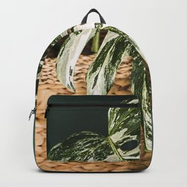 Variegated Monstera deliciosa, Albo version. Close up photography.  Backpack | Variegated, Basket, Deliciosa, Decoration, Print, Paint, Photo, Tropical, Albo, Art 