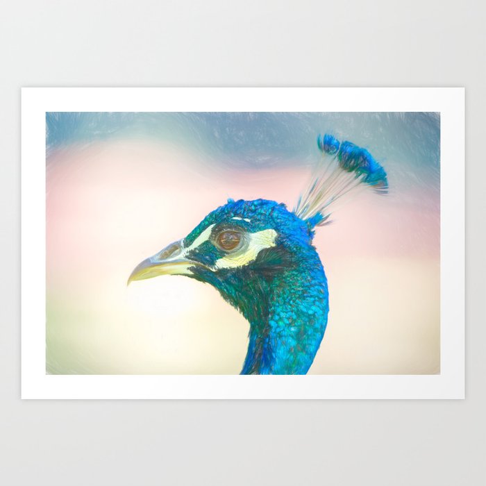 Peacock head coloured pencil look Art Print