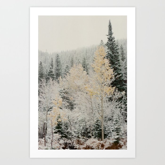 Snowy Mountain Trees Art Print