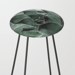 Botanical No. 19 Moody Succulent Photography Counter Stool