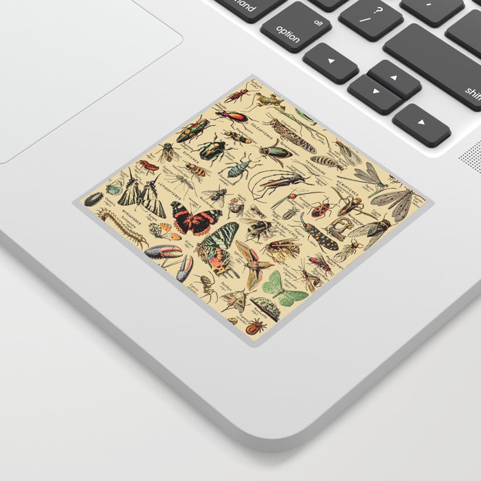 Vintage Insect Identification Chart // Arthropodes by Adolphe Millot XL 19th Century Science Artwork Sticker
