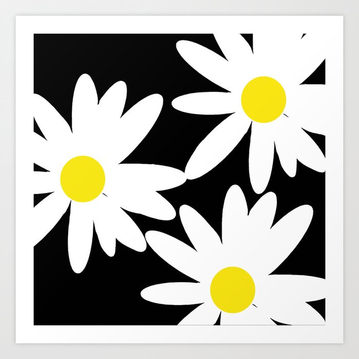 Large Daisy Flowers White Petals Black Background #decor #society6 #buyart Art Print