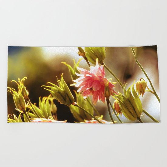 Wild beauty, flowers in the meadows Beach Towel