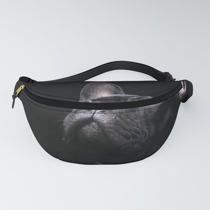 Vogue fanny best sale pack