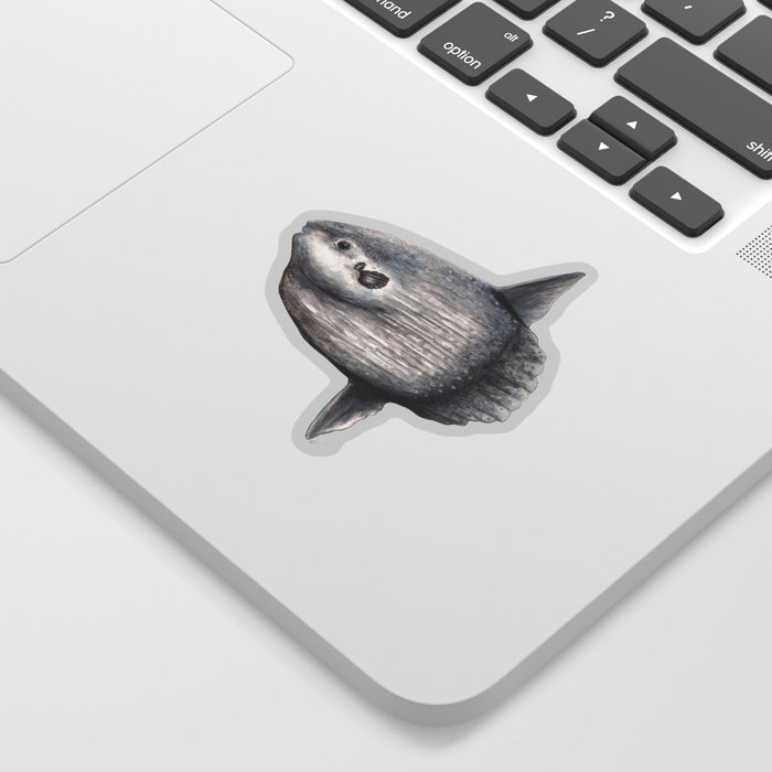 Ocean Sunfish Mola Mola Sticker By Chloeyzoard Society6