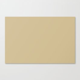 Medium Golden Beige Brown Solid Color Pairs PPG Honey Bunny PPG1090-3 - All One Single Shade Colour Canvas Print