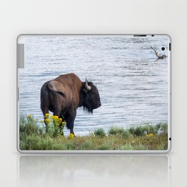 Buffalo On River Wildlife Yellowstone Park Print Laptop Skin