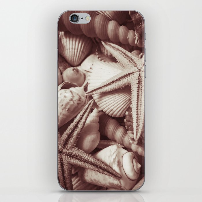 Seashells Nature Sea Monochrome iPhone Skin