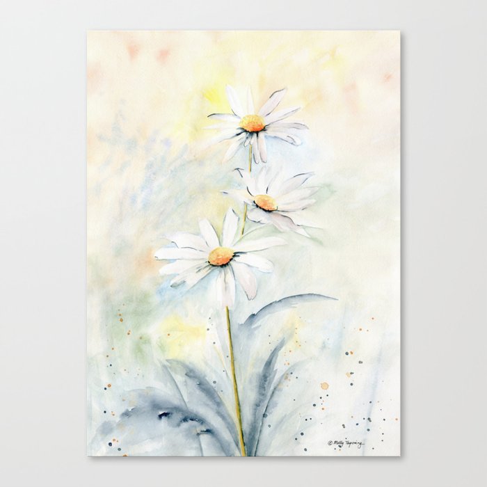 White Daisies Canvas Print