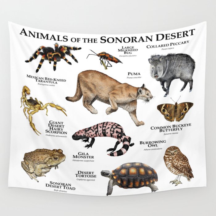 Desert species tapestry deals