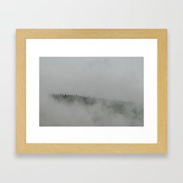 Forest. Framed Art Print