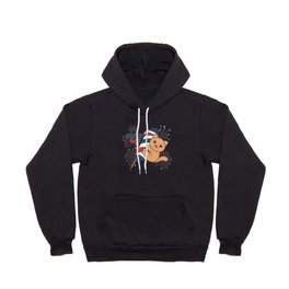 Fourth Of July Cat Fireworks Rocket Hoody