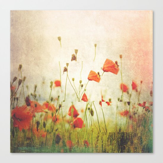 Fractions A57 Canvas Print