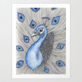 Peacock Pattern Art Print