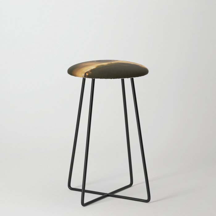 Little fly Counter Stool