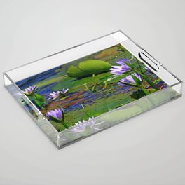 South Africa Photography - Lily Leaves And Flowers In The Water Acrylic Tray