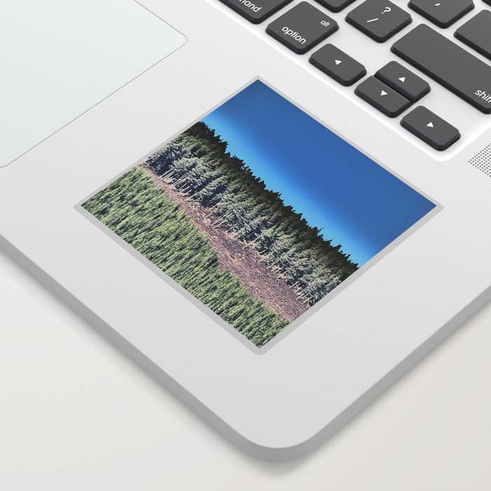 Scottish Highlands Pine Forest Scene in I Art and Afterglow  Sticker