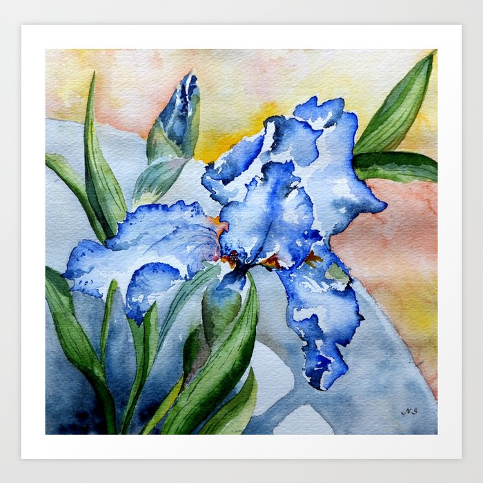 Blue Iris Art Print By Natalie 