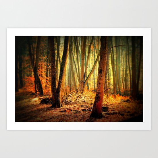 Morgenstimmung Art Print