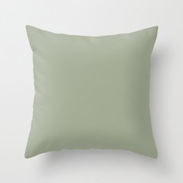 Desert Green Throw Pillow