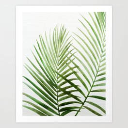 Fresh Palm Fronds Watercolor Art Print