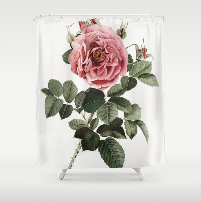 Dusty English Red Rose Shower Curtain By Shealeenlouise Society6
