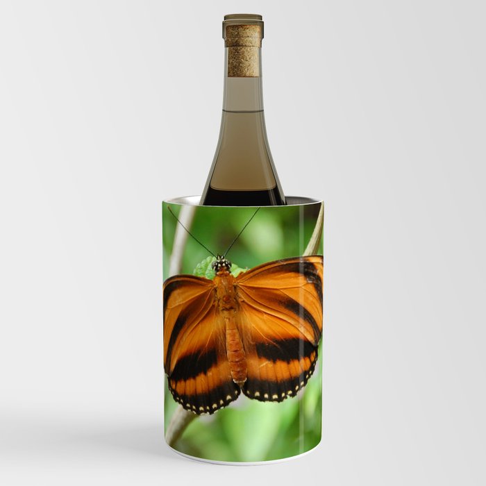 Mexico Photography - Beautiful Orange Butterfly With Black Stripes Wine Chiller