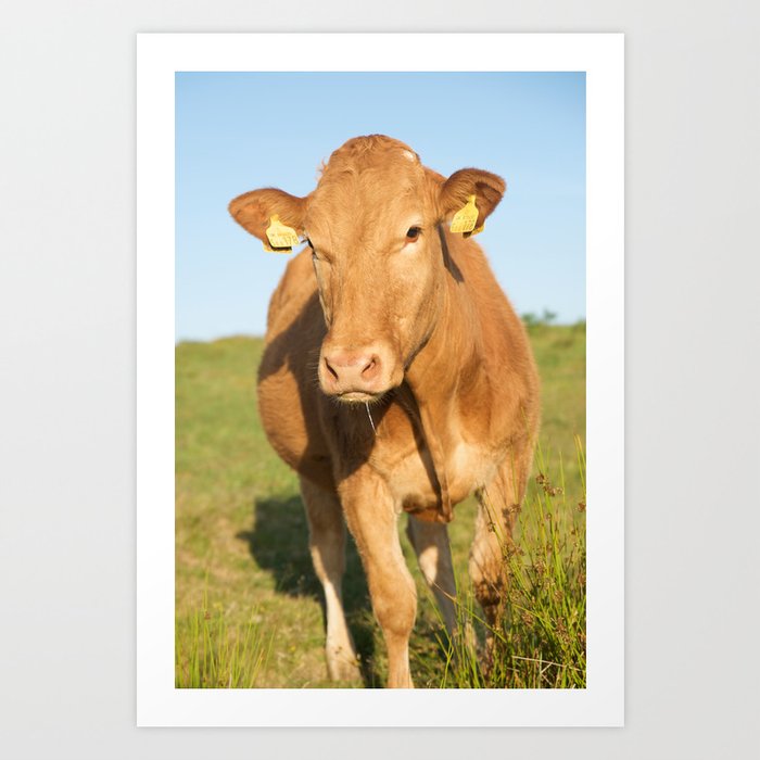 happy cow Art Print