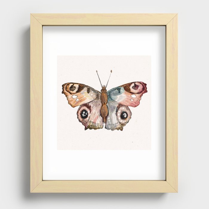 Colorful Butterfly Recessed Framed Print