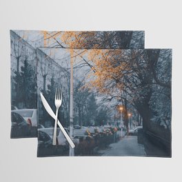 Spring flowers at night Placemat